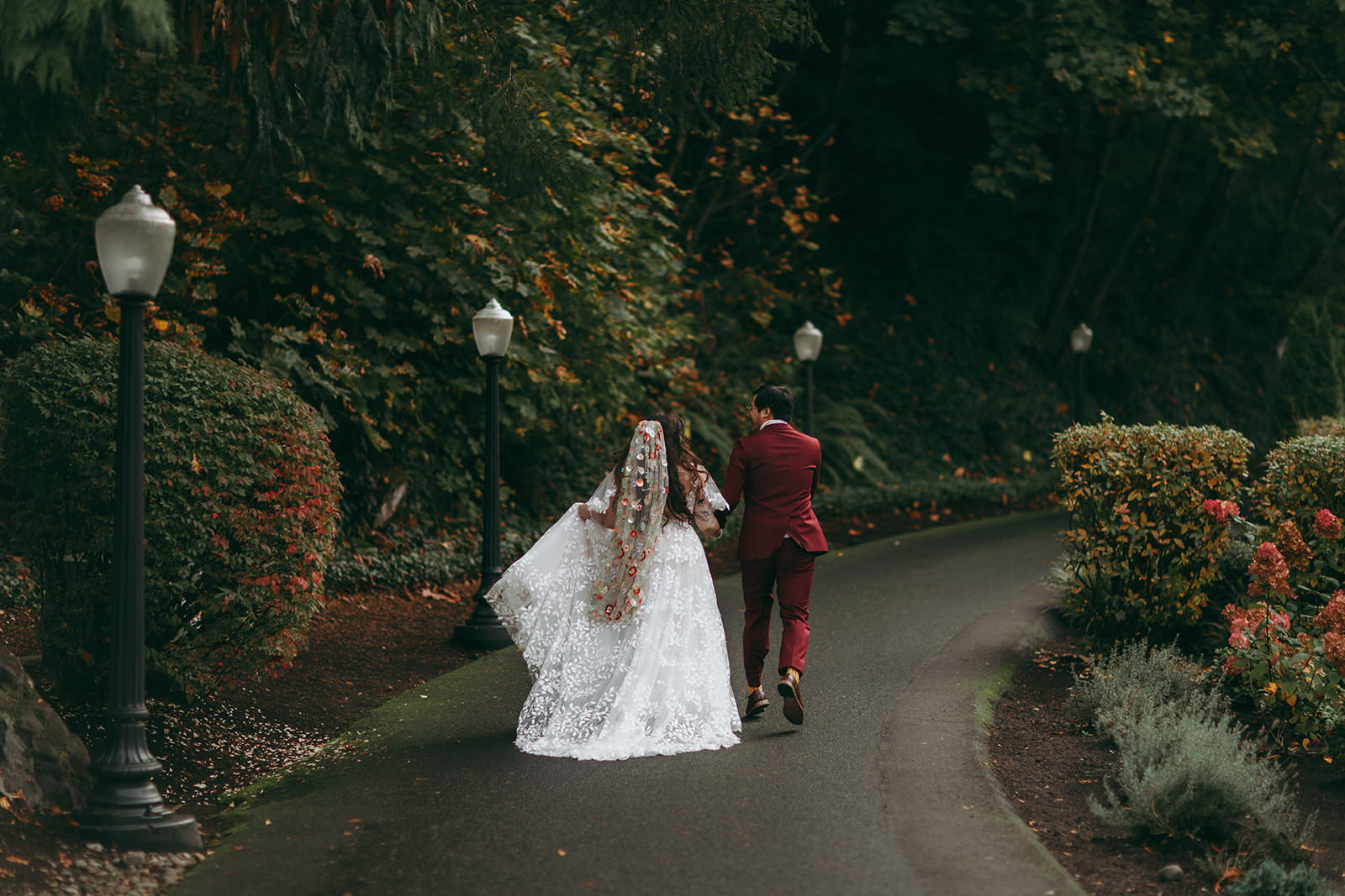 Riley & Rob bride and groom amongst the redwood trees