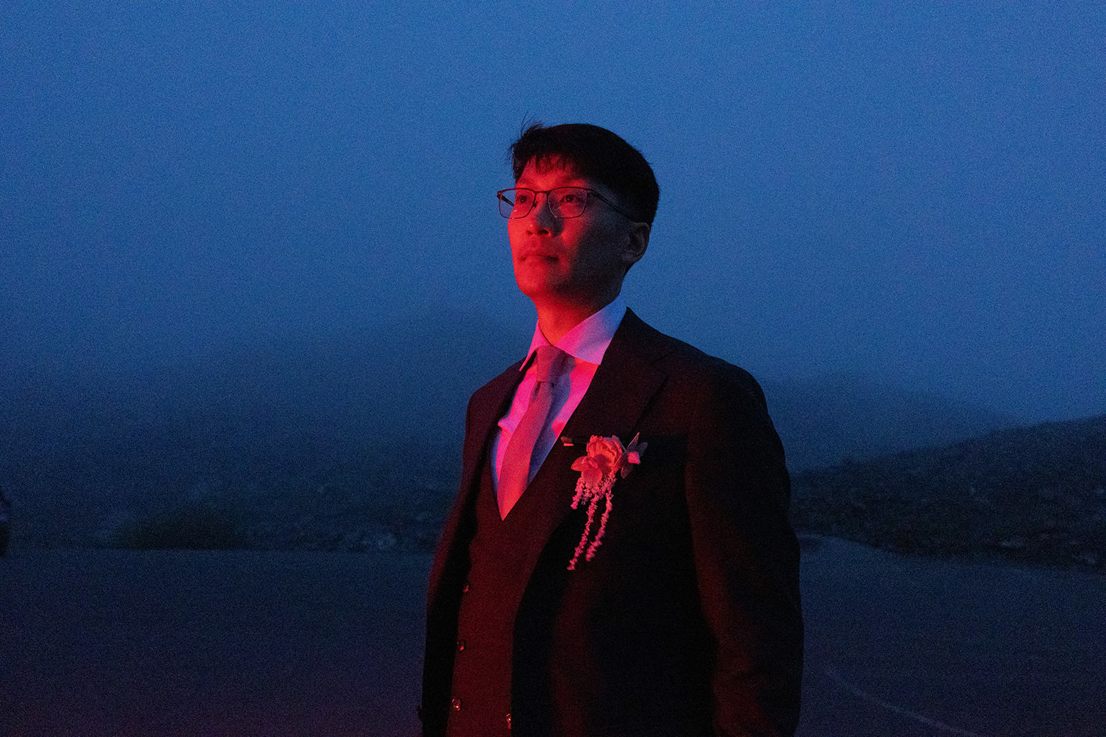 bride and groom amongst the redwood trees