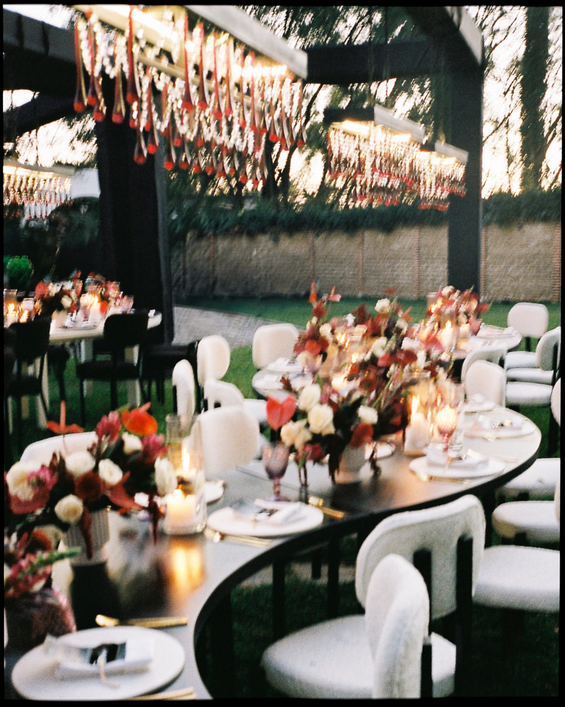 an elopement at the hoyt arboretum
