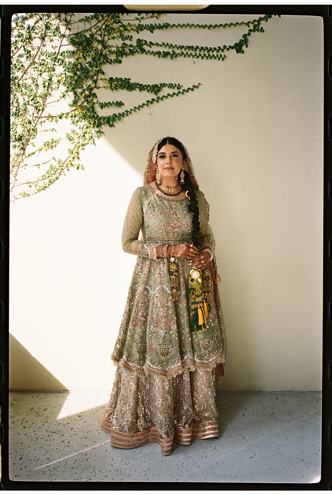 bride and groom amongst the redwood trees