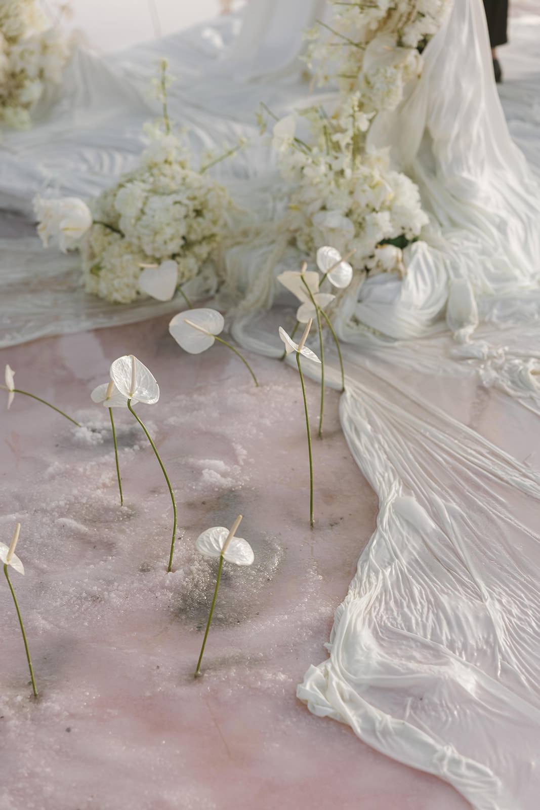 bride and groom amongst the redwood trees