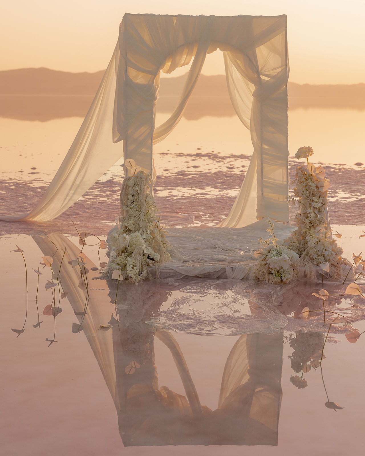 bride and groom amongst the redwood trees