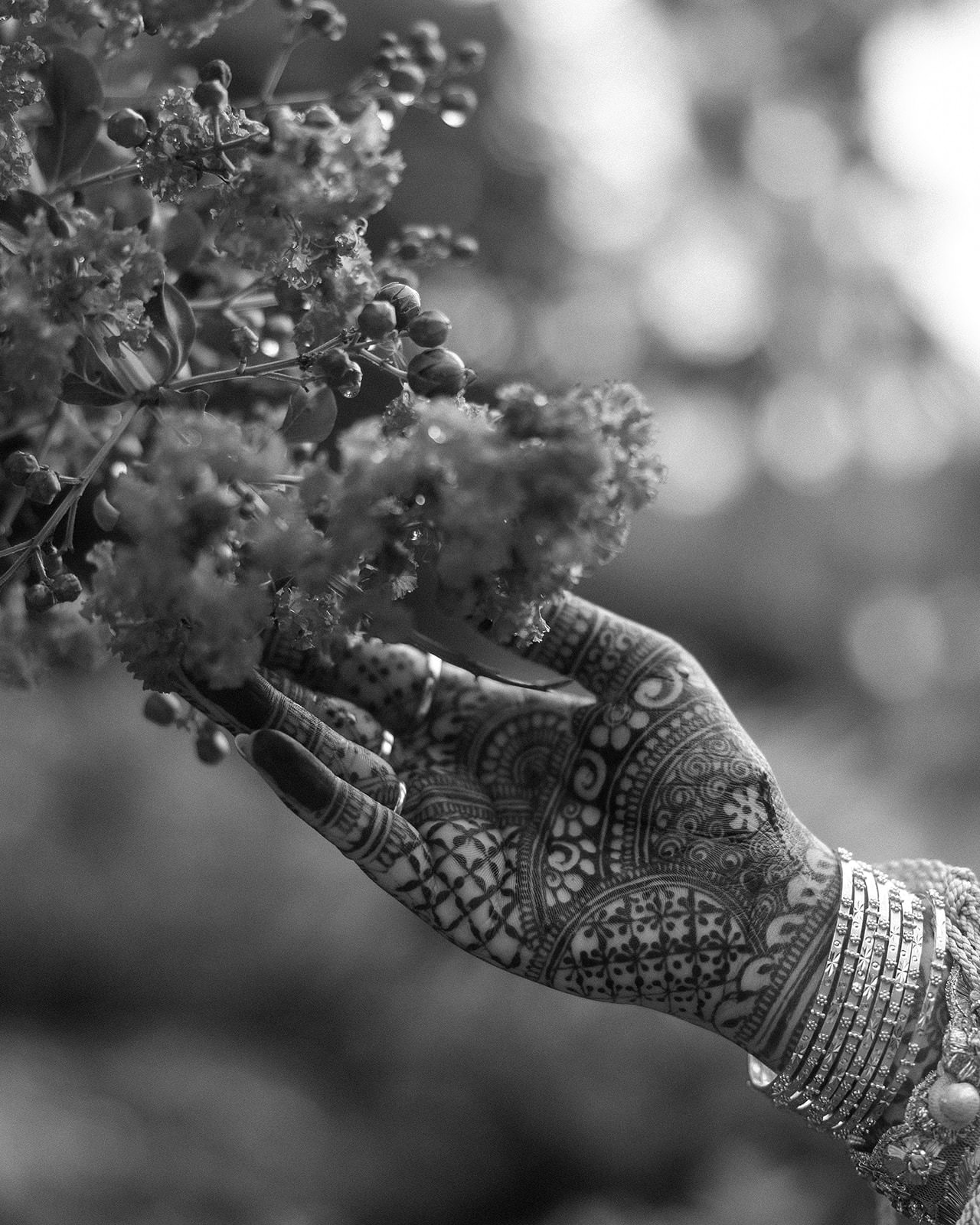 an elopement at the hoyt arboretum